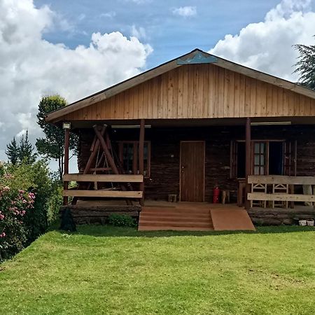 The Wonky House Apartment Timau Bagian luar foto