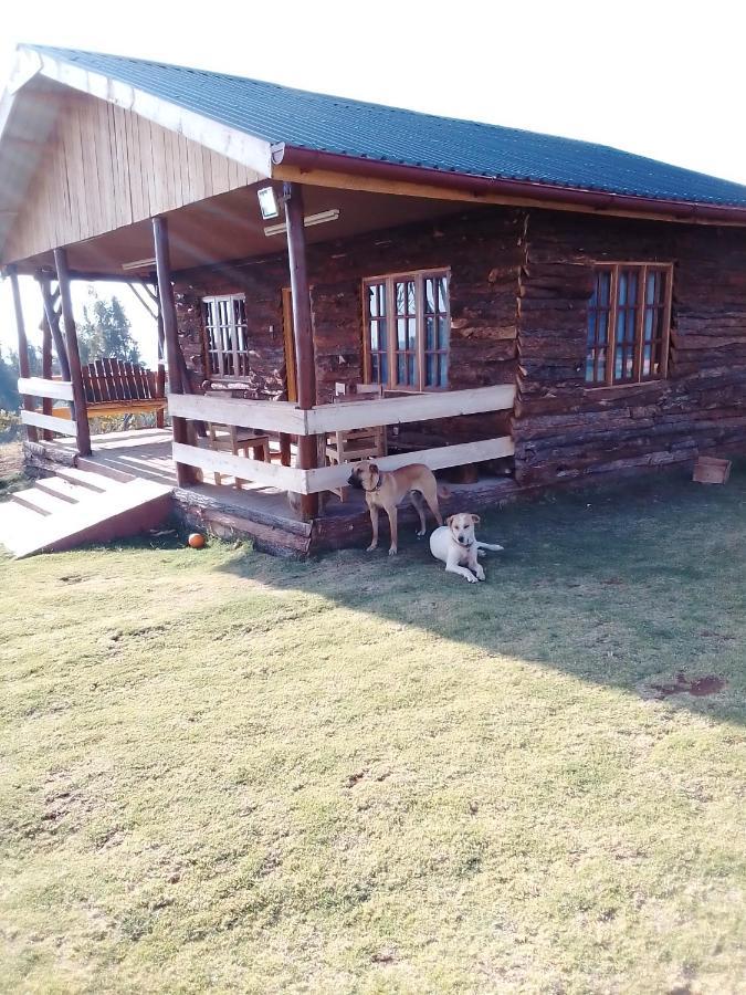 The Wonky House Apartment Timau Bagian luar foto